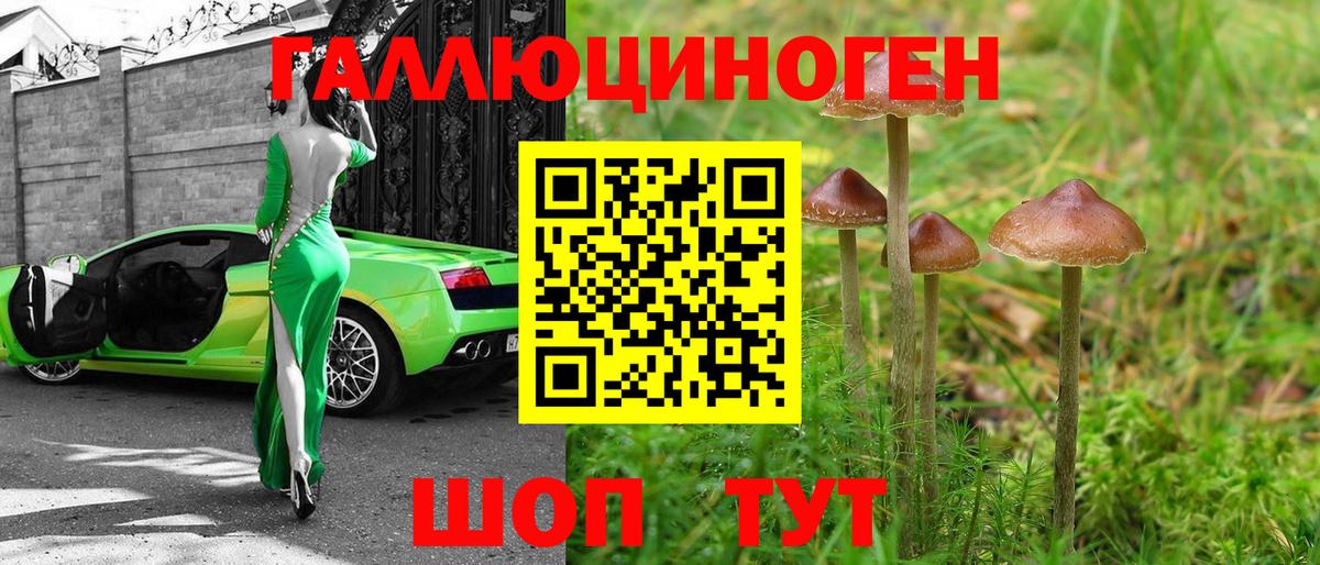 Псилоцибиновые грибы мухоморы Губкин