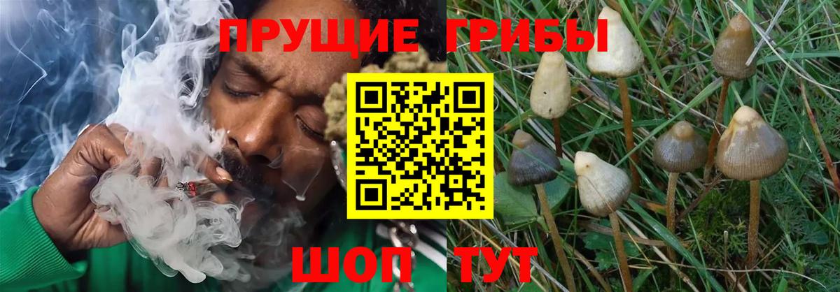 Галлюциногенные грибы ЛСД  Галлюциногенные грибы мицелий  Вход с VPN  Губкин 